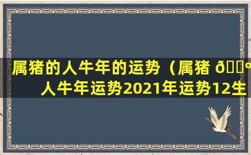 属猪的人牛年的运势（属猪 🌺 人牛年运势2021年运势12生肖）